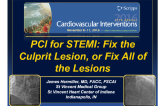 PCI for STEMI: Fix the Culprit Lesion, or Fix All of the Lesions