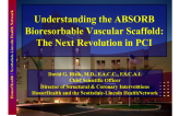 Understanding the ABSORB Bioresorbable Vascular Scaffold: The Next Revolution in PCI