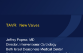 TAVR: New Valves