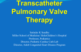 Transcatheter Pulmonary Valve Therapy
