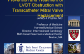 Prevention and Treatment of LVOT Obstruction with Transcatheter Mitral Valve Replacement