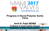 Progress in Novel Polymer Aortic Valve