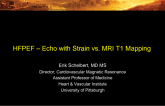 HFPEF – Echo with Strain vs. MRI T1 Mapping