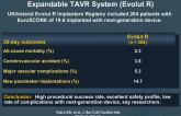 Initial Experience of Second-Generation Self-Expandable TAVR System (Evolut R)