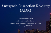 Antegrade Dissection and Re-entry