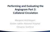 Performing and Evaluating the Angiogram Part 2: Collateral Circulation