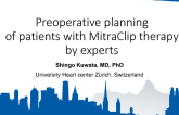 Preoperative Planning of Patients with MitraClip Therapy by Experts