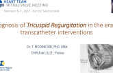Prognosis of Tricuspid Regurgitation in the Era of Transcatheter Interventions