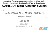 Innovative Percutaneous Approaches to Mitral Valve Repair: From Early Trials to Real World Experience