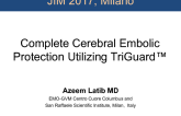 Complete Cerebral Embolic Protection Utilizing TriGuard™