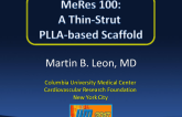 MeRes 100: A Thin-Strut PLLA-based Scaffold