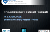 Tricuspid Repair: Surgical Predicate