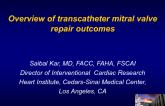 Overview of Transcatheter Mitral Valve Repair Outcomes