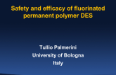 Safety and Efficacy of Fluorinated Permanent Polymer DES