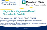 Magmaris a Magnesium Based Bioreorbable Scaffold