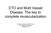 CTO and Multi Vessel Disease. The key to complete revascularization