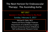 The Next Horizon for Endovascular Therapy: The Ascending Aorta