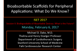 Bioabsorbable Scaffolds for Peripheral  Applications: What Do We Know?	