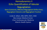 Echo Hemodynamics II: Echo Quantification of Valvular Regurgitation