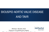 Bicuspid Aortic Valve Disease and TAVR