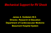 Mechanical Support for RV Shock