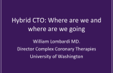 Hybrid CTO: Where Are We and Where Are We Going