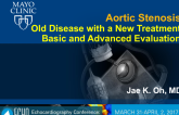  Basic and Advanced Assessment of Aortic Stenosis