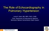 The Role of Echocardiography in Pulmonary Hypertension