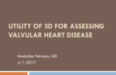 Utility of 3D For Assessing Valvular Heart Disease