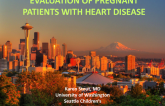 Echo Evaluation of Pregnant Patients With Heart Disease
