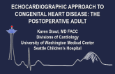 Approach to Congenital Heart Disease II: Evaluating the Post-operative Adult