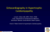  Echocardiolgraphy in Hypertrophic Cardiomyopathy