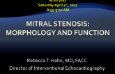 Mitral Stenosis: Morphology and Function