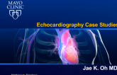 Echocardiography Case Studies