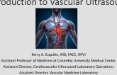  Introduction to Vascular Imaging