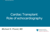  Cardiac Transplant: The Role of Echo