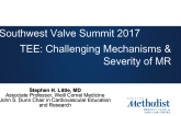 TEE - Challenging Mechanisms and Severity of MR
