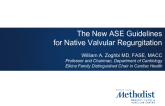 The New ASE Guidelines for Native Valvular Regurgitation