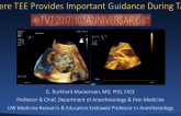 A Call to Reason – Clinical and Anatomic Situations Where TEE Provides Important Guidance During TAVR