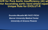 TAVR for Pure Aortic Insufficiency (AI) With Prior Ascending Aortic Hemi-shield Repair : Unique Role for EVOLUT-R