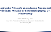 Imaging the Tricuspid Valve During Transcatheter Interventions: The Role of Echocardiography, CT, and Fluoroscopy