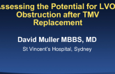 How to Assess the Potential for LVOT Obstruction After TMV Replacement?