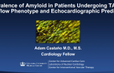 Prevalence of Amyloid in Patients Undergoing TAVR: Low-Flow Phenotype and Echocardiographic Predictors