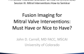 Fusion Imaging for Valve Intervention: Must Have or Nice to Have?