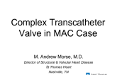 Transcatheter Mitral Valve in MAC Using the Sapien 3 Device