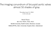 The Imaging Conundrum of Bicuspid Aortic Valve Disease - Almost 50 Shades of Gray!