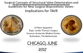 A Primer on Surgical Concepts of Structural Valve Deterioration and Guidelines for New Surgical Bioprosthetic Valves – Implications for TAVR