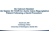 No Calcium Needed: Edwards Sapien S3 TAVR for Aortic Valve Regurgitation in a Patient Following a David Procedure