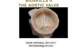 TAVR Bioskills & Imaging