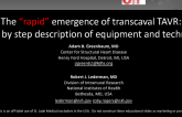 The Rapid Emergence of Trans-Caval TAVR: A Step-by-Step Description of Equipment and Techniques